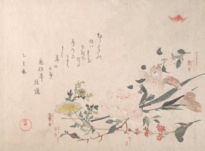 Rose, Iris, Primrose e Daisy, 1815. de Kubo Shunman