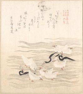 Gaivotas a brincar na água de Kubo Shunman
