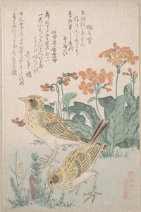  de Kubo Shunman