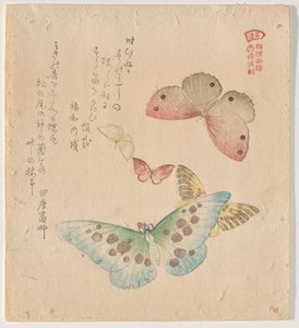 O Manual de Pintura do Bando de Borboletas (Guncho? Gafu) de Kubo Shunman