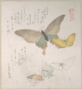  de Kubo Shunman