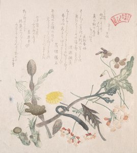 Violetas, Primeroses e Outras Flores da Primavera, século XIX. de Kubo Shunman