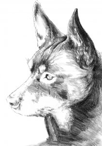  de Kulik