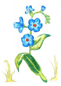  de Kulik