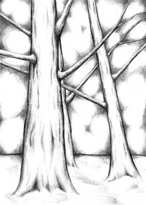 Luz da Floresta Etérea de Kulik
