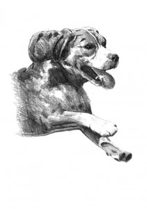  de Kulik