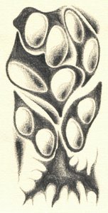  de Kulik