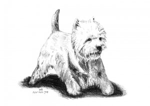  de Kulik