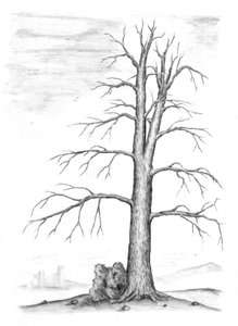  de Kulik