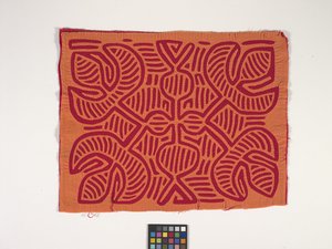Painel de Camisa (Mola) (foto)