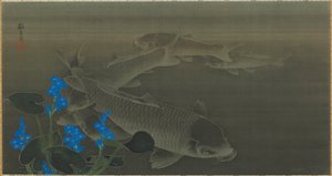 Carpa, período Edo, início do século XIX. de Kuroda Toko