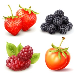 4 frutos e bagas isolados num conjunto de fundo branco. 4