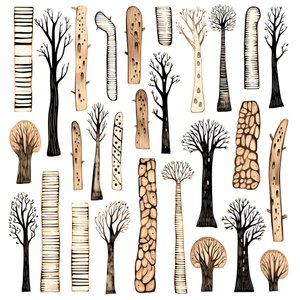 Secções de tronco de árvore, clipart boho, padrão de desenho boho, tronco boho 2