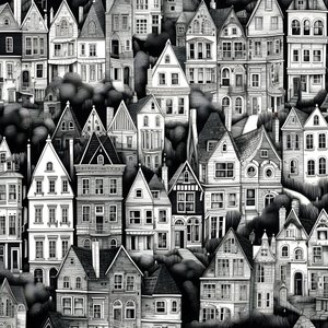 uma fotografia a preto e branco das casas 3
