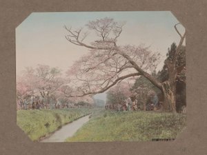 Pessoas e flores de cerejeira em ambos os lados de um riacho em Koganei, Tóquio, Japão de Kusakabe Kimbei