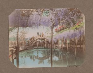 Pessoas em uma ponte, com glicínias florescendo em primeiro plano, em Kameido, Tóquio, Japão de Kusakabe Kimbei