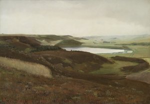 Uma paisagem perto de Bryrup, Jutlândia de Laurits Andersen Ring