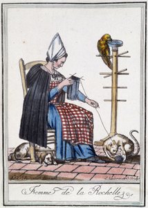 Mulher de La Rochelle a tricotar com um cão, um papagaio e um gato a brincar com a bola de lã.