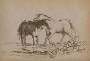 "Cavalos", 1903 de Lady Diana Spencer