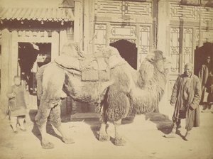 Pequim. do. 923, 1867. de Lai Fong.