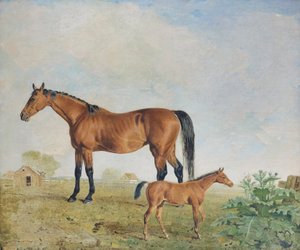 Cavalos "Mr Young", Benjamin e Lambert Marshall (óleo sobre tela)