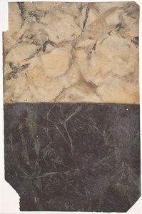 Draft para dois tipos diferentes de marmoreio, um preto-azul e um dourado-branco. de Lambert van Haven