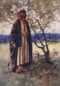 Povos do Egipto: Árabe beduíno, Bedawi (litografia a cores) de Lance Thackeray
