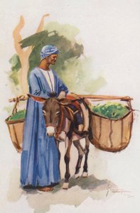 Povo do Egito: Vendedor de legumes, Khodari (litografia a cores) de Lance Thackeray