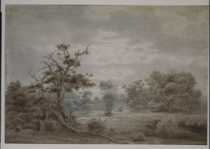 Paisagem da floresta de Dusseldorf