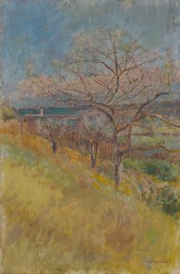 Vale com árvores em flor, 1890-1900 de Laszlo Mednyanszky