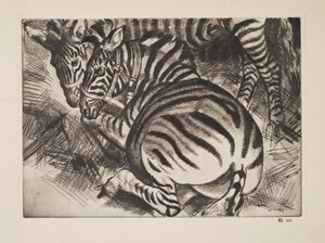 Zebras, bar. 1930.