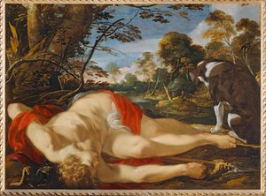 Adonis mort - Morte de Adónis. Verso 1624-1628 ...