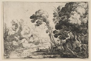 Rio na floresta. de Laurent de la Hyre
