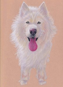 Snowky, 2021 (lápis de cor sobre papel tonalizado)