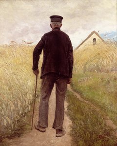 Velho caminhando em um campo de centeio
