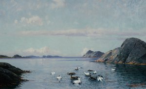 Costa Sul com aves marinhas de Lauritz Haaland