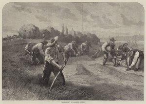 Haymakers de Lawrence Duncan