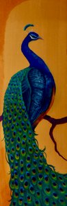 Peacock I, 2023 de Lee Campbell