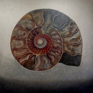 Amonite de prata, 2024 (óleo sobre tela) de Lee Campbell