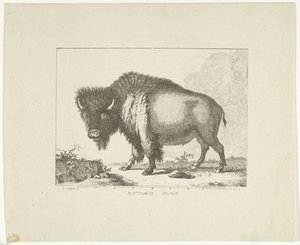 Bizon de Leendert Brasser
