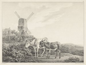 Dois burros numa paisagem perto de um moinho
Seis desenhos de pedra de L. de Koningh (título da série) de Leendert de Koningh