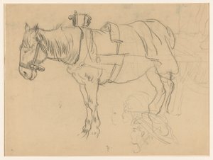 Estudos de cavalos treinados e cabeça