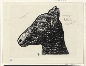 Cabeça de um cordeiro de Leo Gestel (signed by artist)