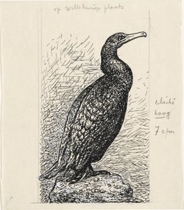 Cormorant de Leo Gestel