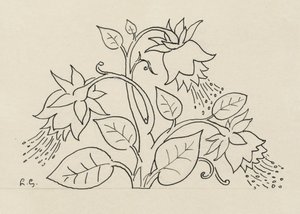 Arbusto florido de Leo Gestel