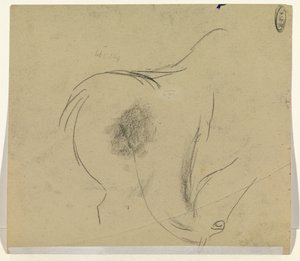 cabeça de cavalo de Leo Gestel