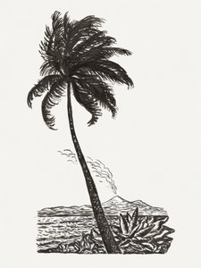 Palmeira com uma ilha (c. 1891–1941) de Leo Gestel