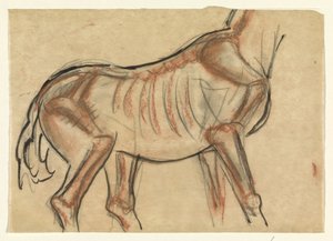 Esqueleto de um cavalo de Leo Gestel