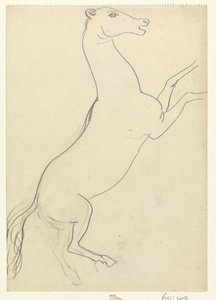 Criação de cavalo sem crina de Leo Gestel