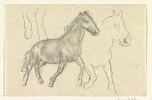 Dois cavalos correndo de Leo Gestel